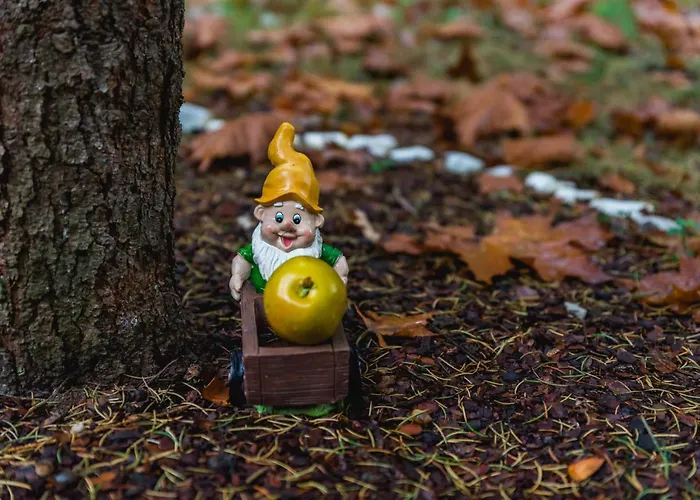 Guest house Montebelo Veliko Tarnovo